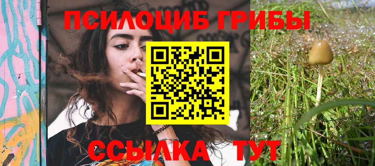 Галлюциногенные грибы мицелий Шарыпово